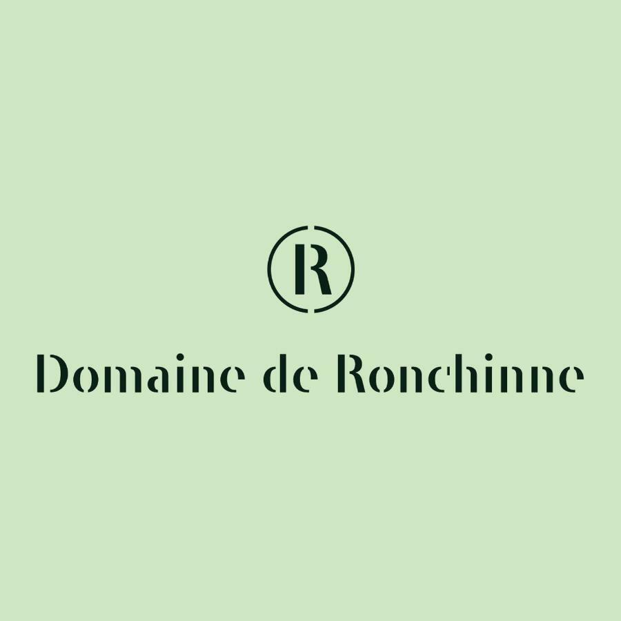 Domaine De Ronchinne - Insolites Maillen Buitenkant foto